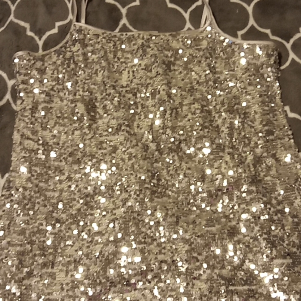 Shiny Silver Dress